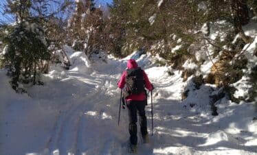 Raquetas de nieve