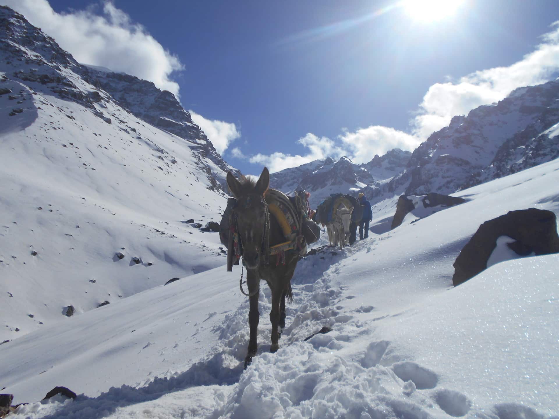 Refugio del Toubkal en Marruecos