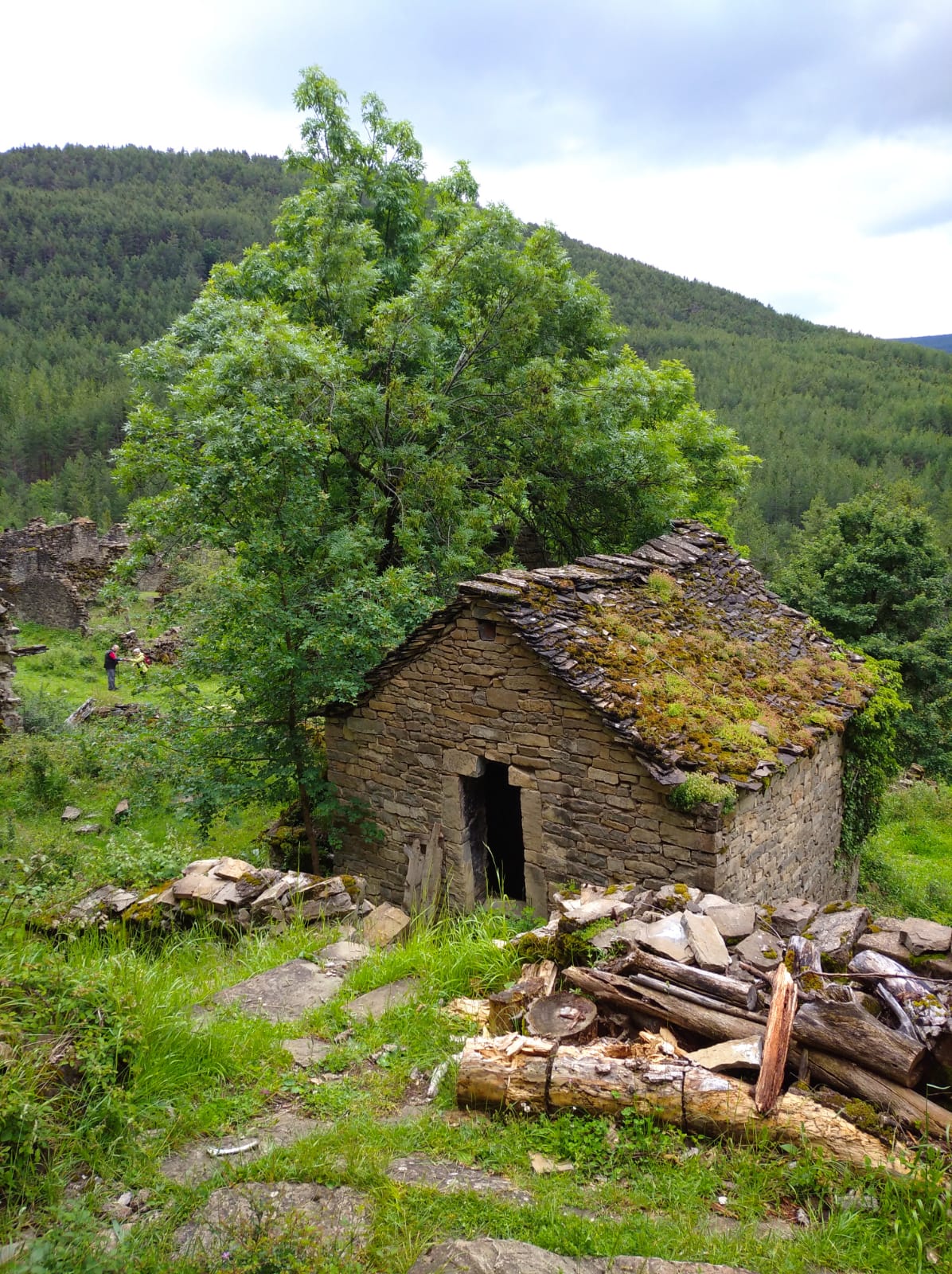 Trekking de uno o varios días en la Sierra de Guara